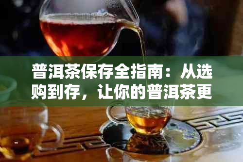 普洱茶保存全指南：从选购到存，让你的普洱茶更持久、更好喝！