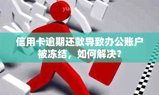 信用卡逾期还款导致办公账户被冻结，如何解决？