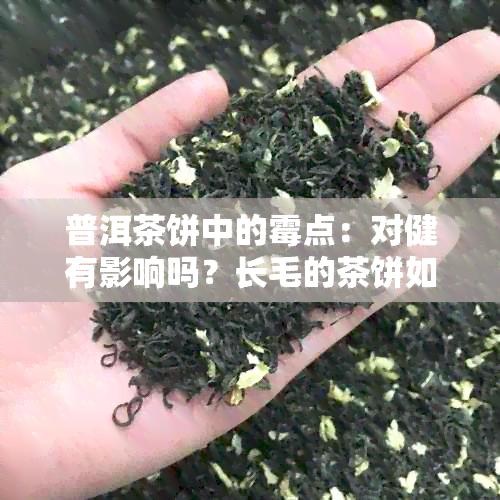 普洱茶饼中的霉点：对健有影响吗？长毛的茶饼如何处理？