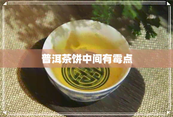 普洱茶饼中间有霉点