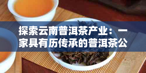 探索云南普洱茶产业：一家具有历传承的普洱茶公司的故事