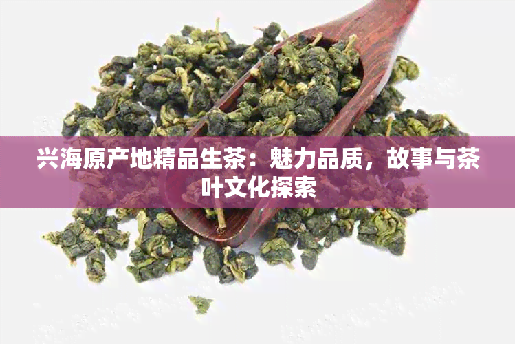 兴海原产地精品生茶：魅力品质，故事与茶叶文化探索