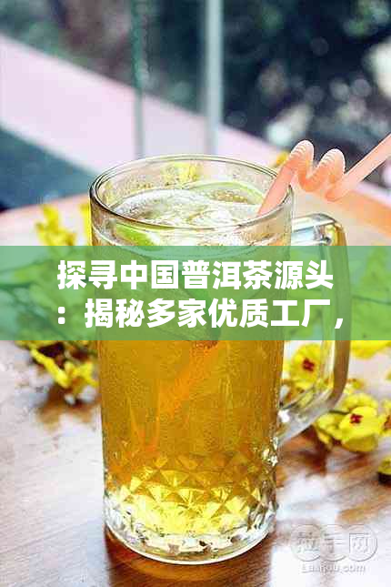 探寻中国普洱茶源头：揭秘多家优质工厂，满足您的品茶需求