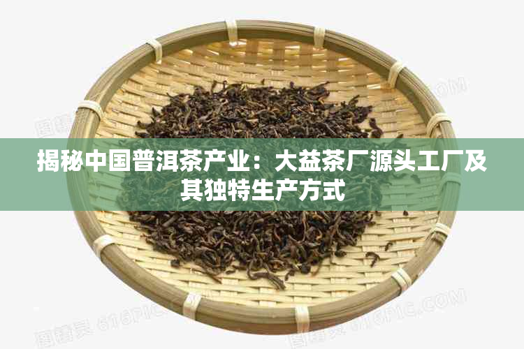 揭秘中国普洱茶产业：大益茶厂源头工厂及其独特生产方式