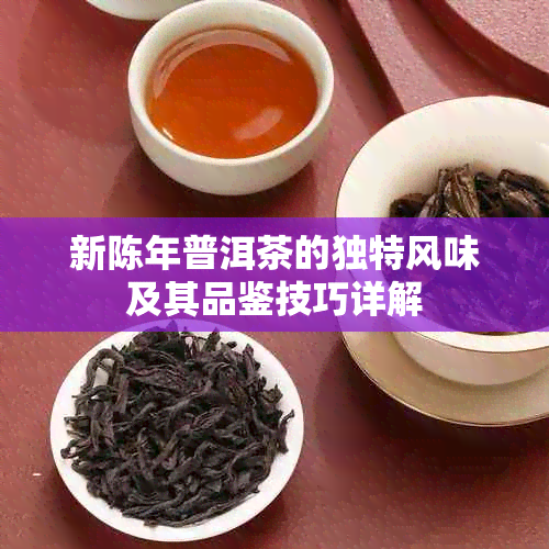 新陈年普洱茶的独特风味及其品鉴技巧详解