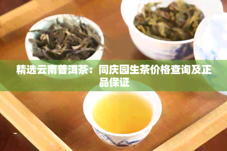 精选云南普洱茶：同庆园生茶价格查询及正品保证