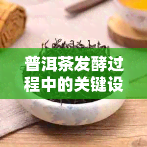 普洱茶发酵过程中的关键设备：恒恒湿解析罐