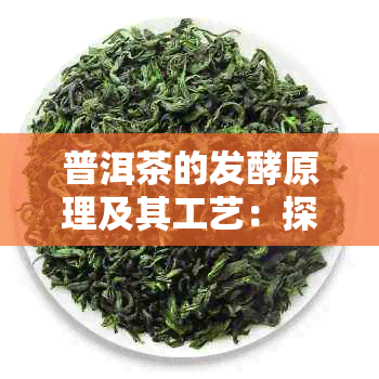 普洱茶的发酵原理及其工艺：探究普洱茶独特的发酵过程和目的。