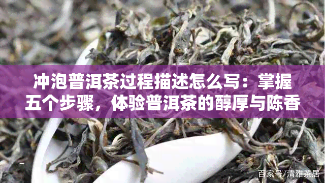 冲泡普洱茶过程描述怎么写：掌握五个步骤，体验普洱茶的醇厚与陈香