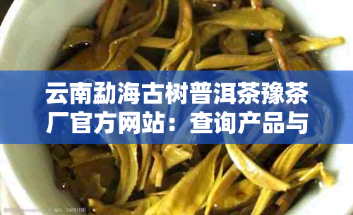 云南勐海古树普洱茶豫茶厂官方网站：查询产品与信息