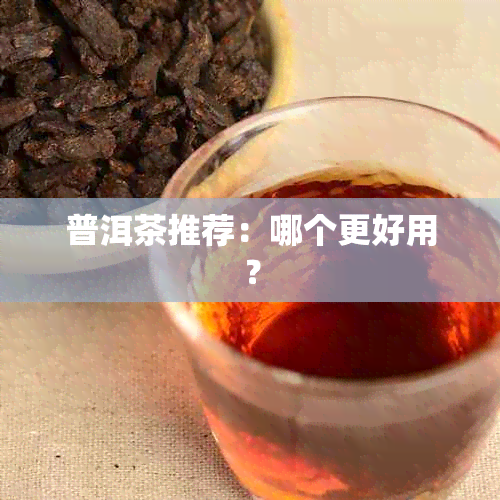 普洱茶推荐：哪个更好用？