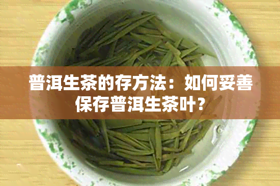 普洱生茶的存方法：如何妥善保存普洱生茶叶？