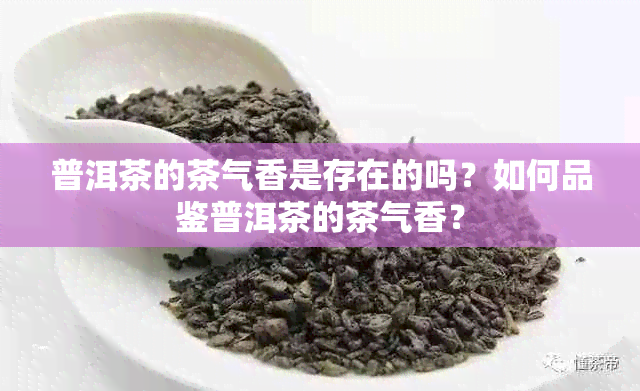 普洱茶的茶气香是存在的吗？如何品鉴普洱茶的茶气香？