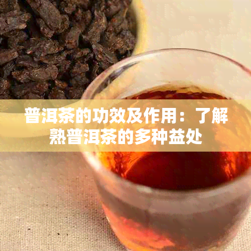 普洱茶的功效及作用：了解熟普洱茶的多种益处