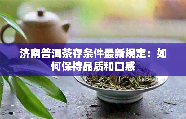 济南普洱茶存条件最新规定：如何保持品质和口感