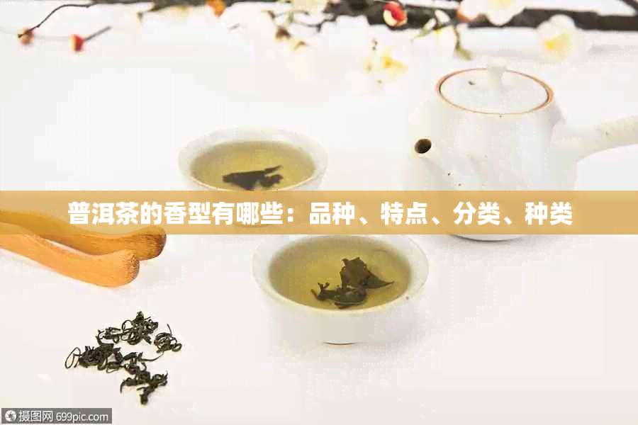 普洱茶的香型有哪些：品种、特点、分类、种类