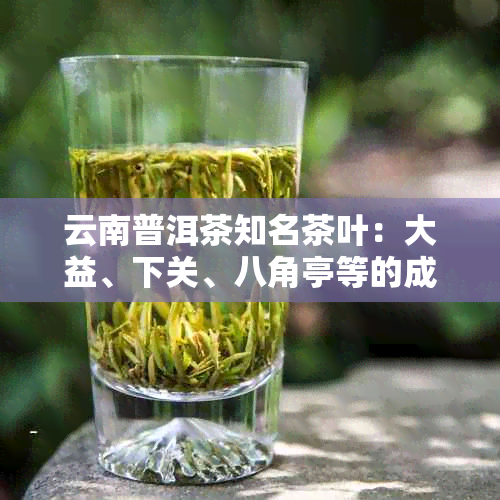 云南普洱茶知名茶叶：大益、下关、八角亭等的成功之路与市场地位