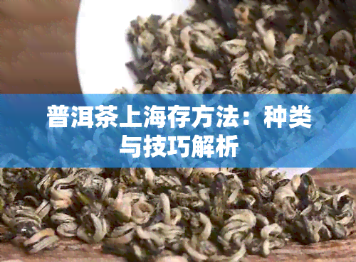 普洱茶上海存方法：种类与技巧解析