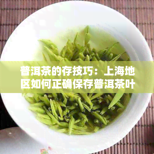 普洱茶的存技巧：上海地区如何正确保存普洱茶叶以保持其品质