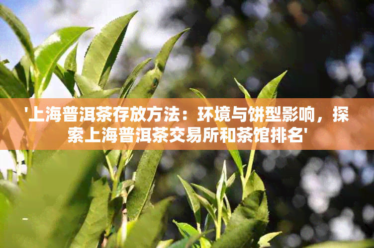 '上海普洱茶存放方法：环境与饼型影响，探索上海普洱茶交易所和茶馆排名'