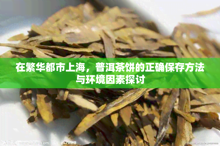 在繁华都市上海，普洱茶饼的正确保存方法与环境因素探讨