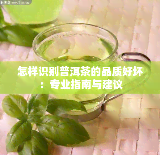 怎样识别普洱茶的品质好坏：专业指南与建议