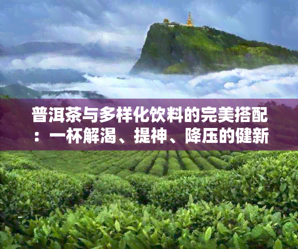 普洱茶与多样化饮料的完美搭配：一杯解渴、提神、降压的健新选择