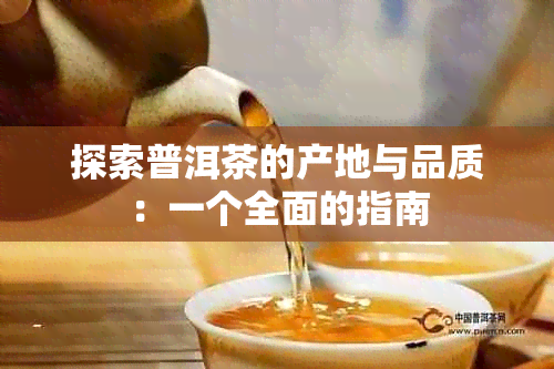 探索普洱茶的产地与品质：一个全面的指南