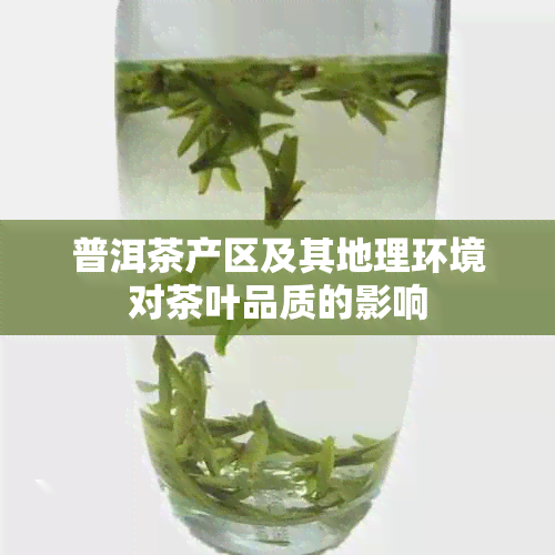 普洱茶产区及其地理环境对茶叶品质的影响