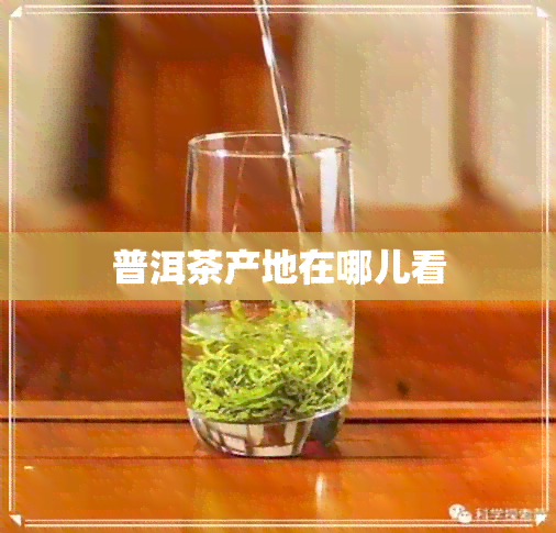 普洱茶产地在哪儿看