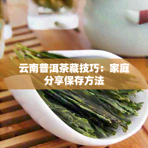 云南普洱茶藏技巧：家庭分享保存方法