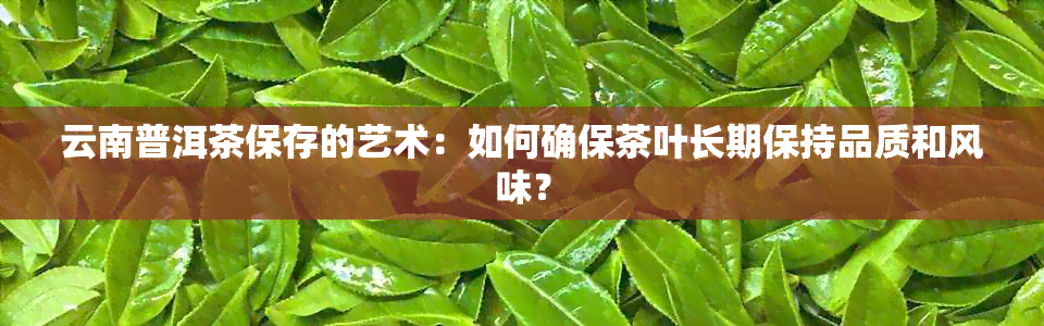 云南普洱茶保存的艺术：如何确保茶叶长期保持品质和风味？