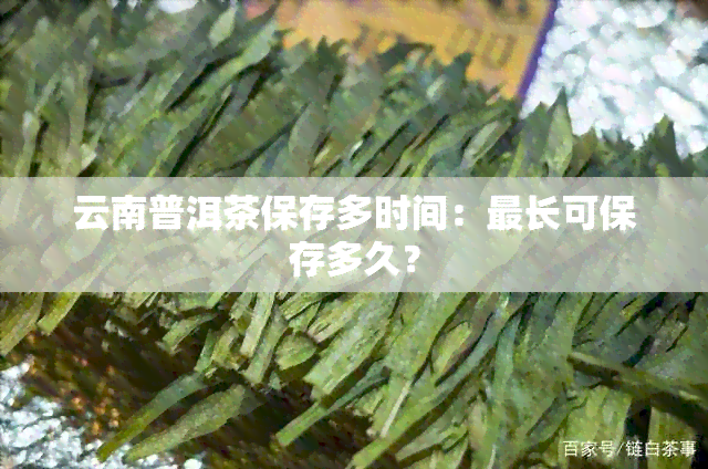 云南普洱茶保存多时间：最长可保存多久？