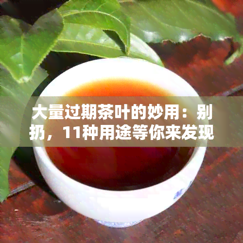 大量过期茶叶的妙用：别扔，11种用途等你来发现！