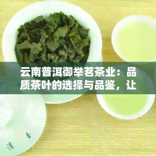 云南普洱御举茗茶业：品质茶叶的选择与品鉴，让您尽情享受茶文化的独特魅力