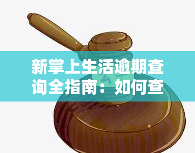 新掌上生活逾期查询全指南：如何查看逾期时间、逾期金额及解决办法