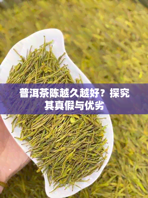 普洱茶陈越久越好？探究其真假与优劣