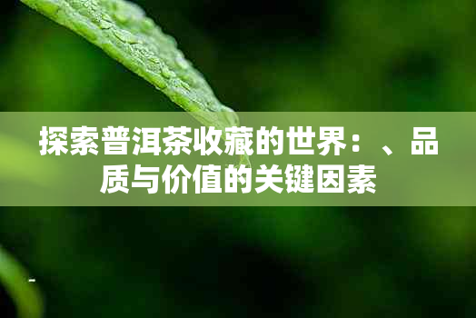 探索普洱茶收藏的世界：、品质与价值的关键因素