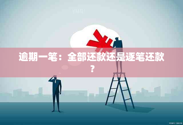 逾期一笔：全部还款还是逐笔还款？