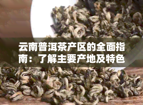 云南普洱茶产区的全面指南：了解主要产地及特色