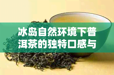 冰岛自然环境下普洱茶的独特口感与风味探究