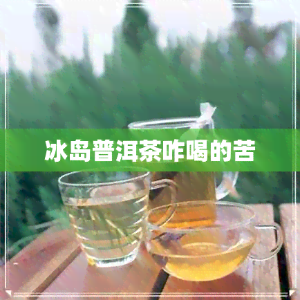 冰岛普洱茶咋喝的苦