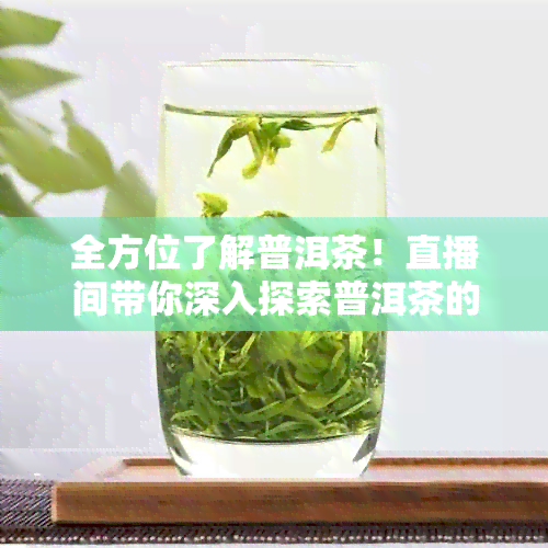 全方位了解普洱茶！直播间带你深入探索普洱茶的制作工艺、品鉴技巧与功效