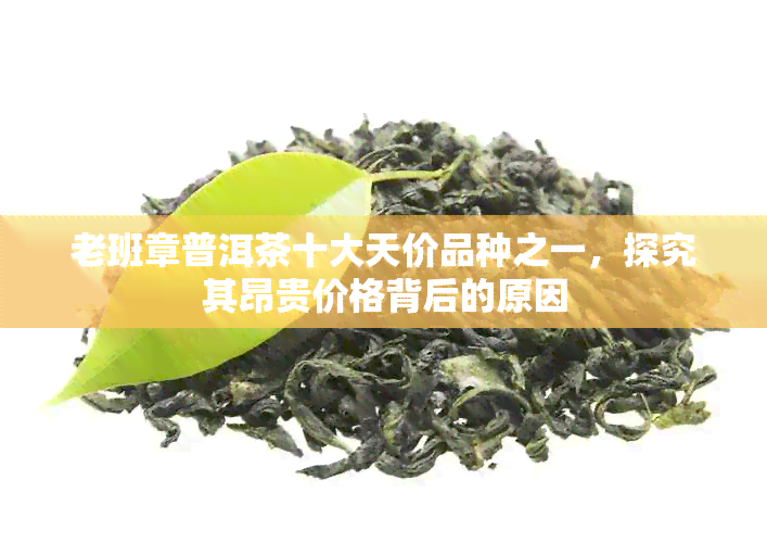 老班章普洱茶十大天价品种之一，探究其昂贵价格背后的原因