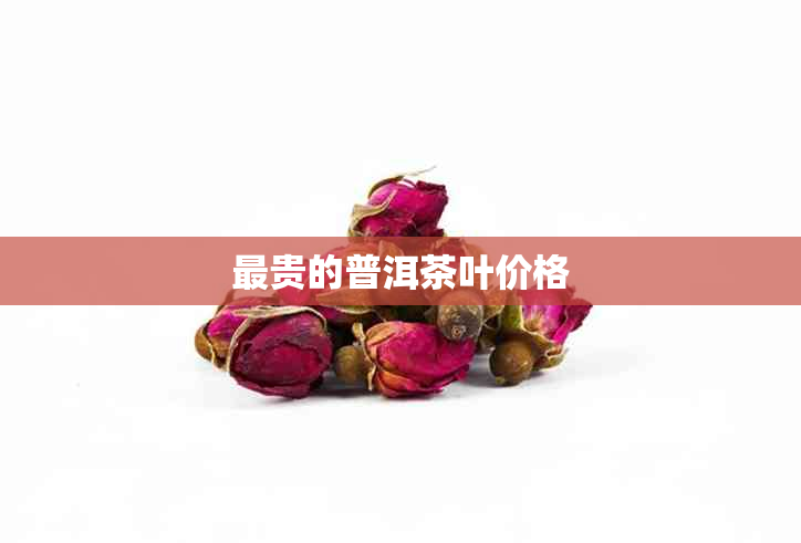 最贵的普洱茶叶价格