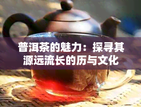 普洱茶的魅力：探寻其源远流长的历与文化