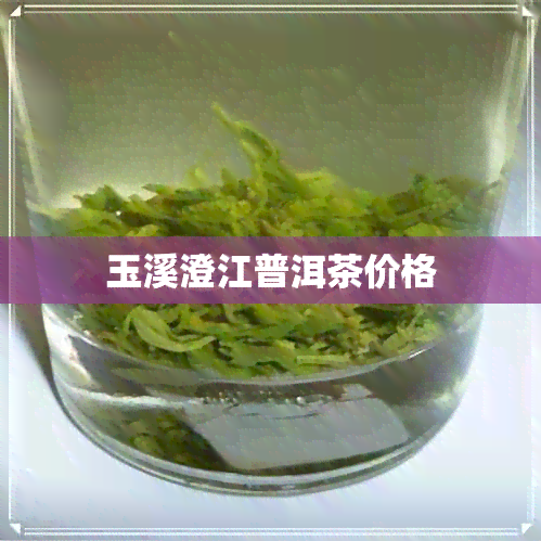 玉溪澄江普洱茶价格