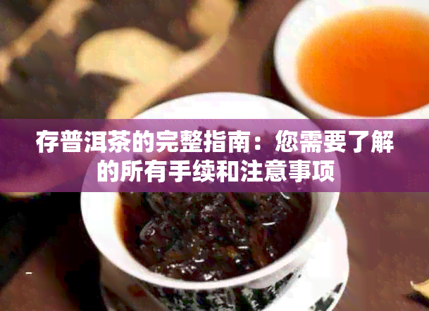 存普洱茶的完整指南：您需要了解的所有手续和注意事项