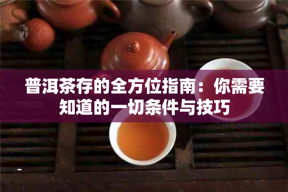 普洱茶存的全方位指南：你需要知道的一切条件与技巧