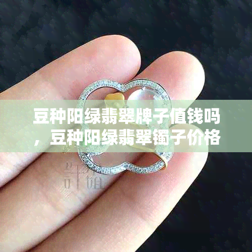 豆种阳绿翡翠牌子值钱吗，豆种阳绿翡翠镯子价格